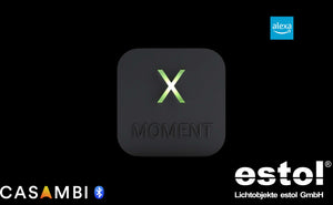 ESTOL-X-moment voice interface  For Casambi-Cf