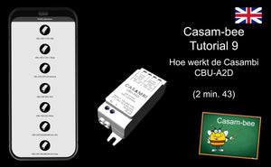 Casam-bee-tutorial-9 CBU-A2D