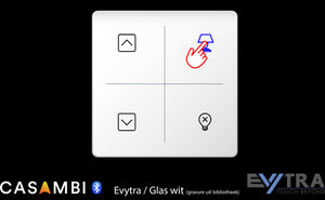 Evytra Glas-Touch-Schalter 230V