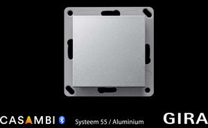 GIRA-System-55-Alluminio-singolo-bilanciere-Ed7