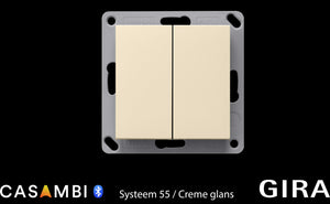 GIRA-System-55-Creme-gloss-double-wip-Ed11