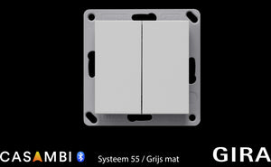 GIRA-System-55-Gris-mat-double-bascule-Ea5