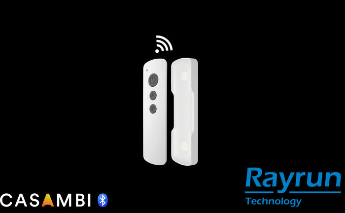 Rayrun RM05 Remote for XB/NB/ series